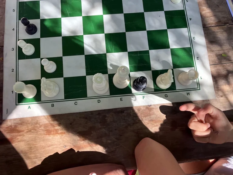 Partie sur un échiquier en pleine nature au Grand Stella