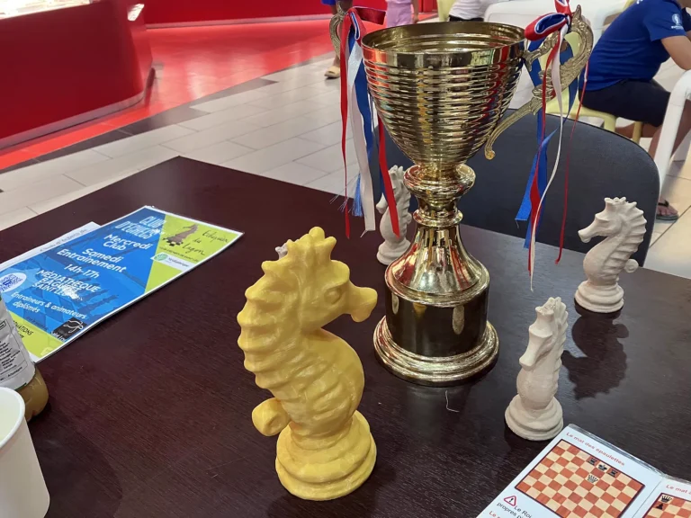 Coupe et cavaliers trophées au tournoi du Portail